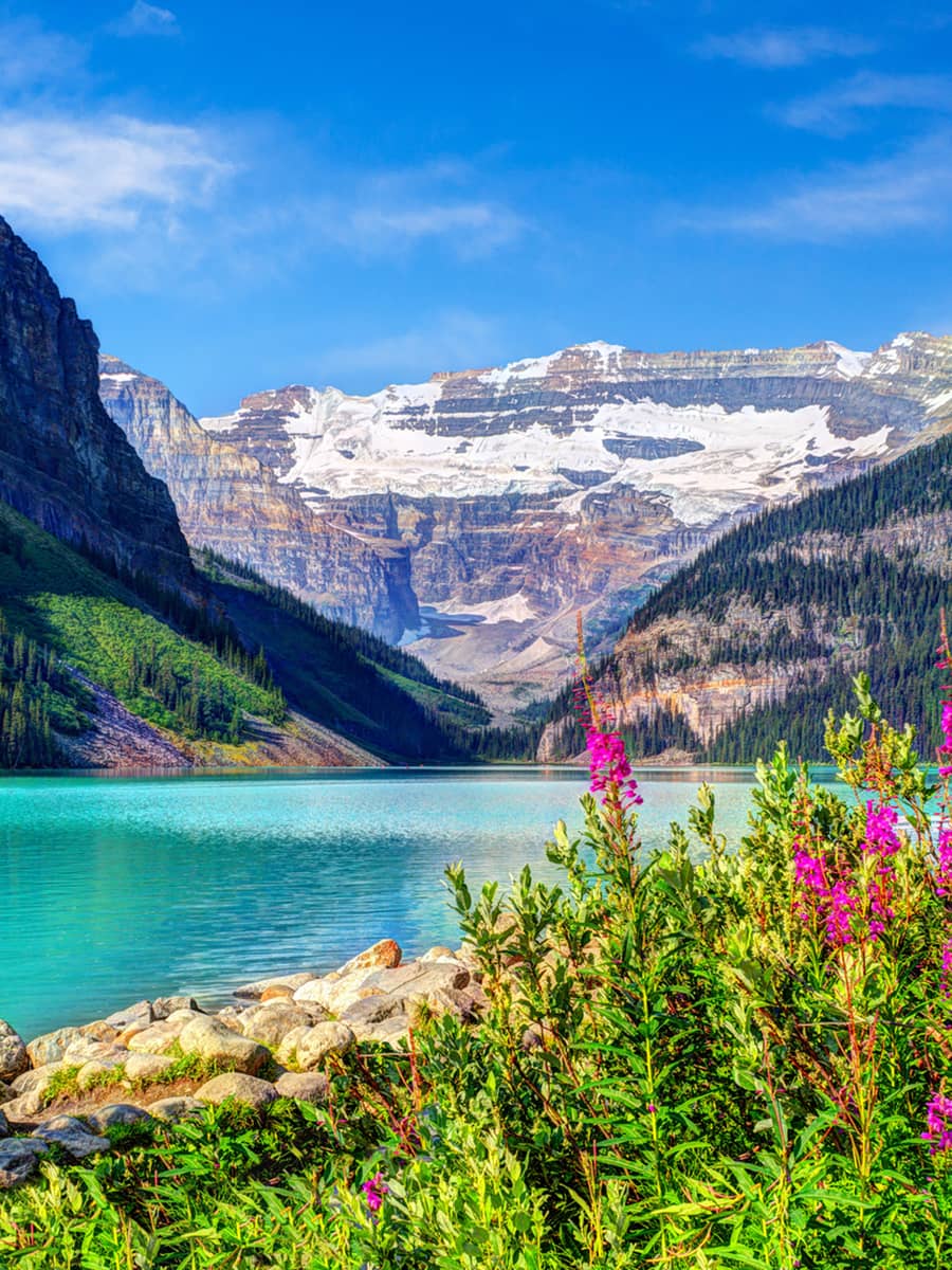 Lake Louise in Banff National Park with its glacier-fed turquoise lakes, beautiful flower bed in the foreground and Mount Victoria Glacier in the background. Vertical orientation.
