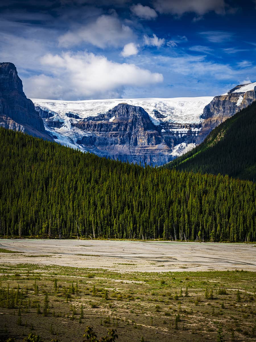 Wide view of the Athabasca Glacier framed by forested slopes and layered mountain cliffs beneath a blue, cloud-filled sky.