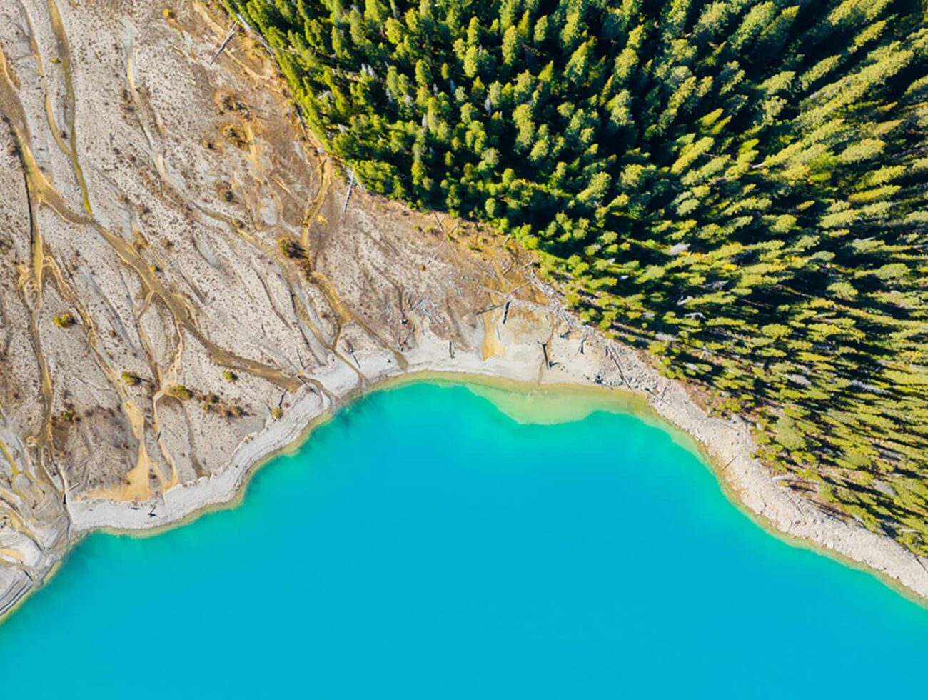 Drone view of the lake and forest in the glacier valley. View of the moraines. Landscape from the air. River on a moraine. Landscape from drone. Abstract view for wallpaper. Banff Alberta, Canada.