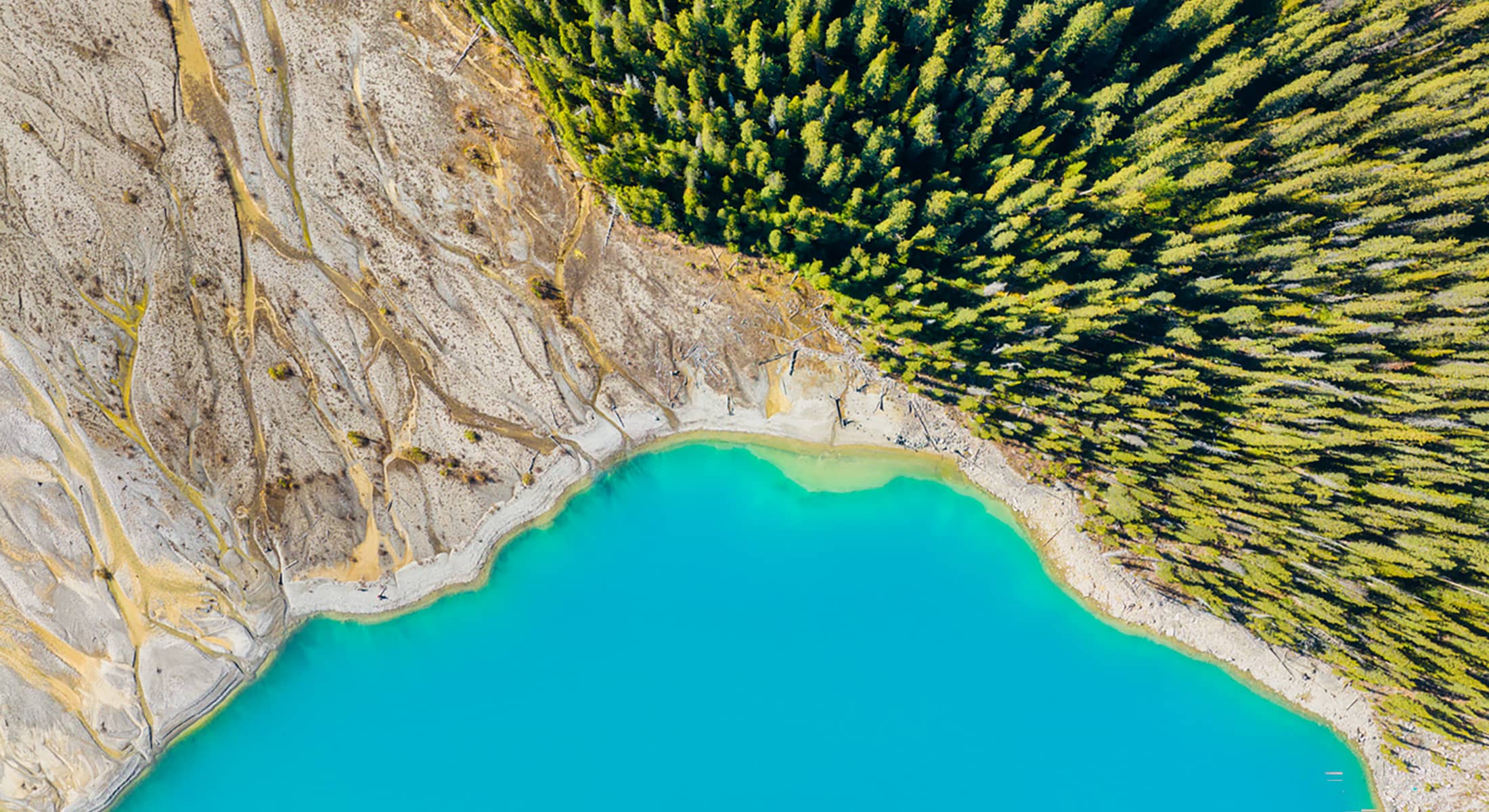 Drone view of the lake and forest in the glacier valley. View of the moraines. Landscape from the air. River on a moraine. Landscape from drone. Abstract view for wallpaper. Banff Alberta, Canada.