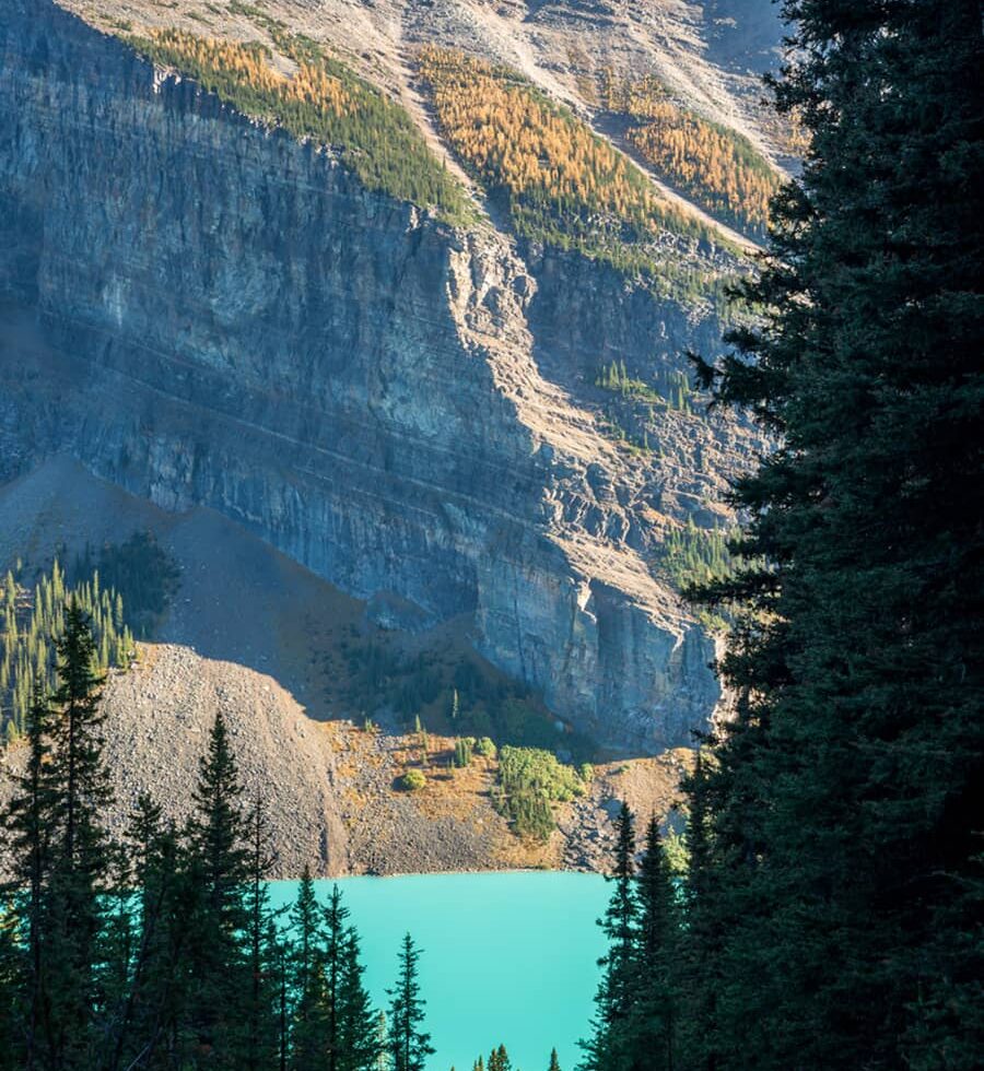 Looking out over Lake Louise. Banff National Park Landscape Photography. Canadian Rockies Autumn Scenery. Alberta, Canada.