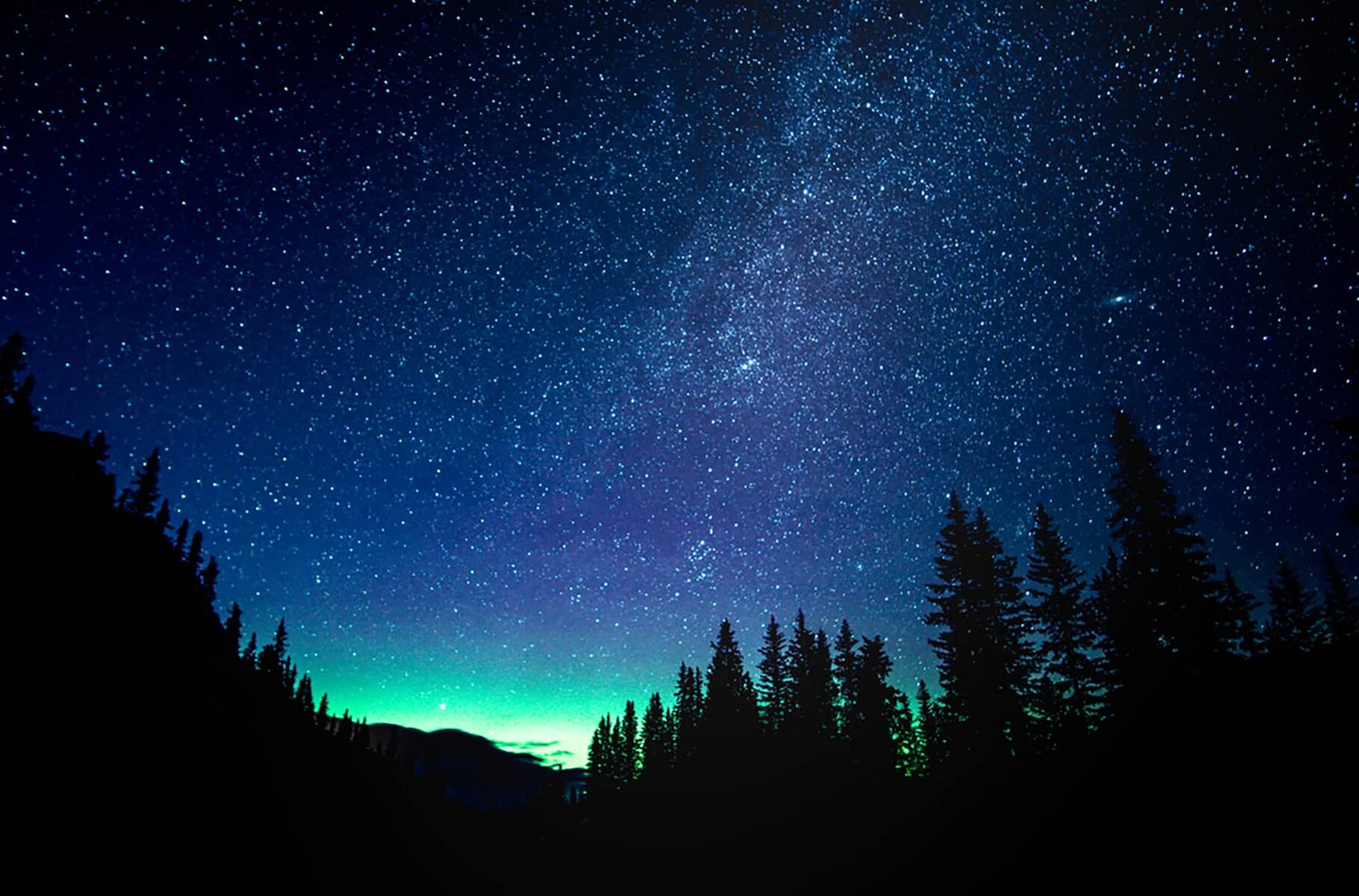 Northern lights stretching across a star-filled sky above a dark forested valley in Banff.