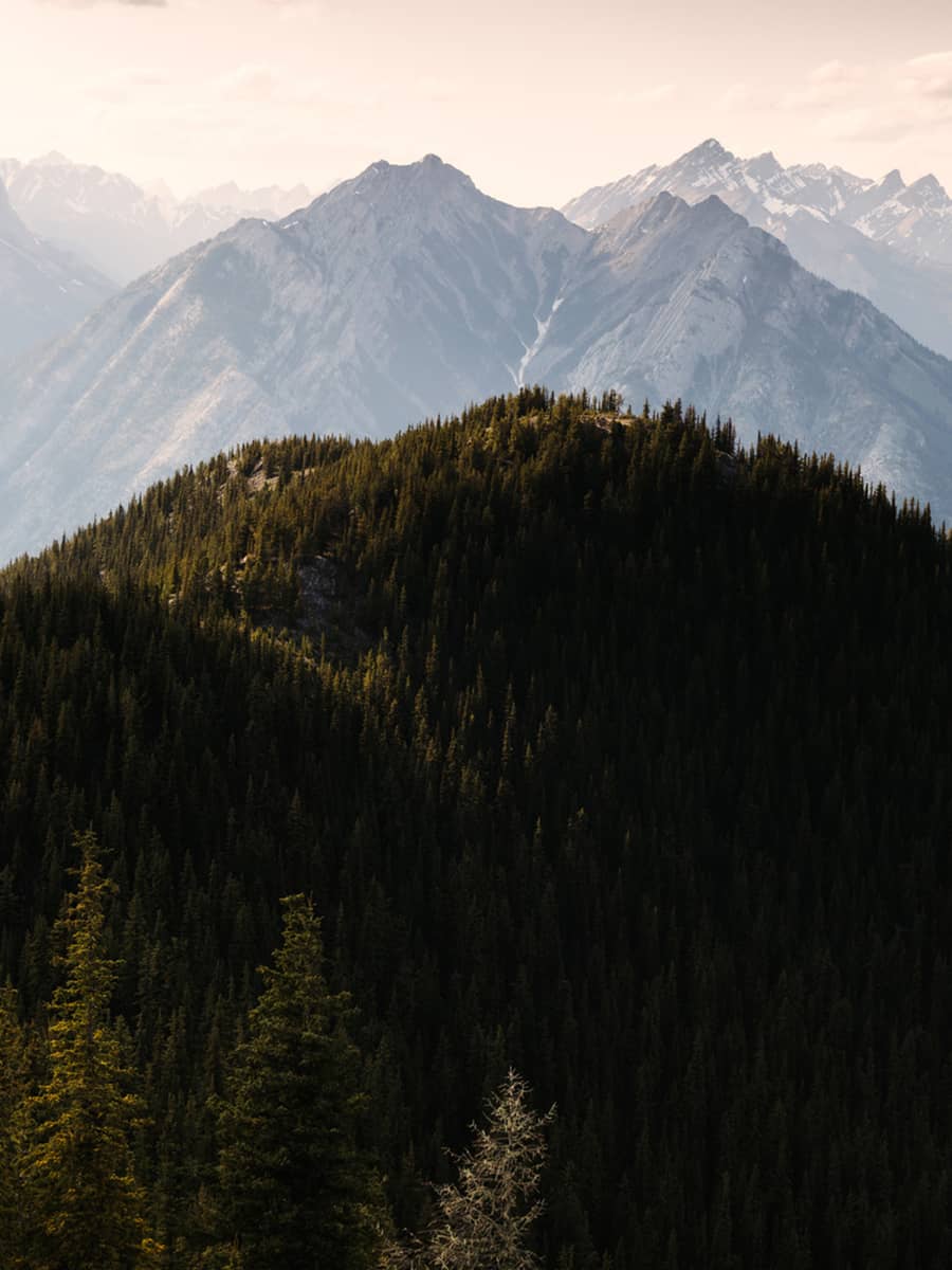View towards Norquay at the summit of Sulphur Mountain