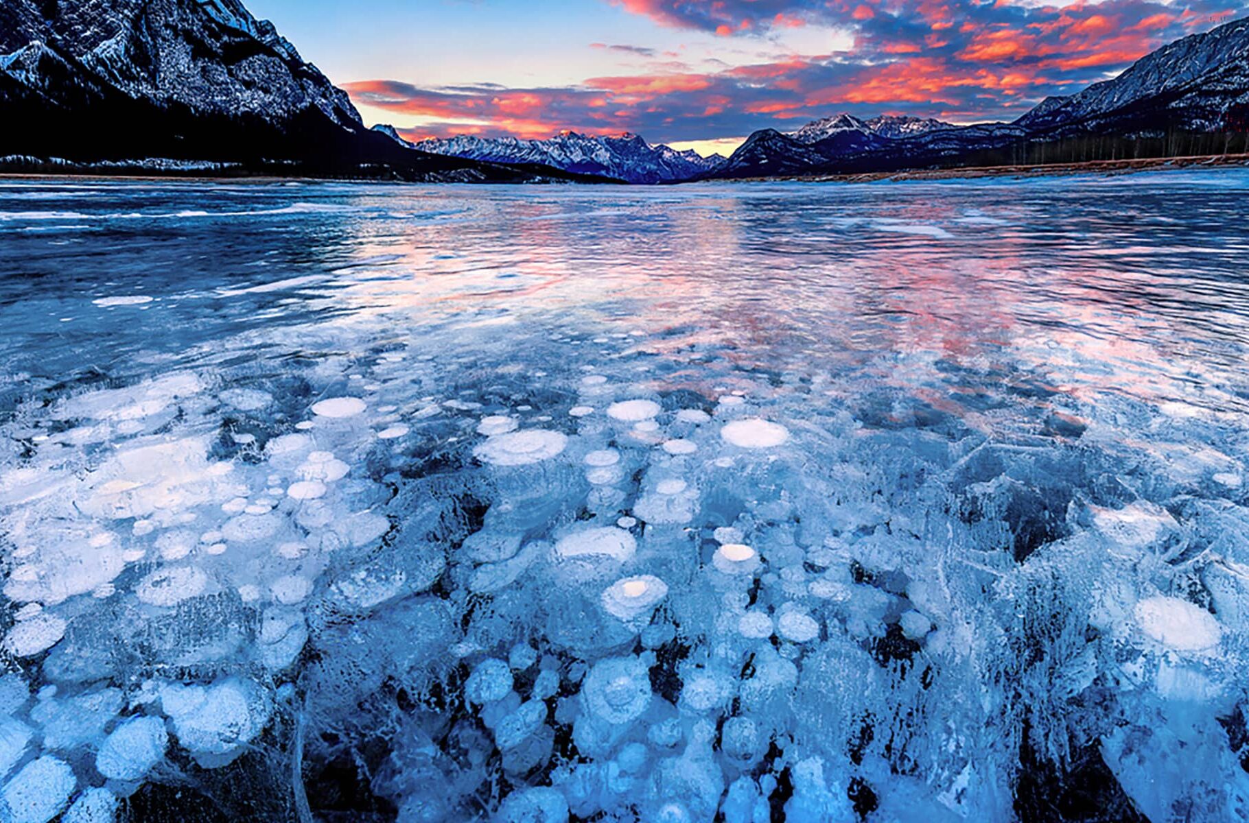 Ice bubbles beneath the frozen surface of Abraham Lake at sunrise, with alpine mountains reflecting across the winter ice.