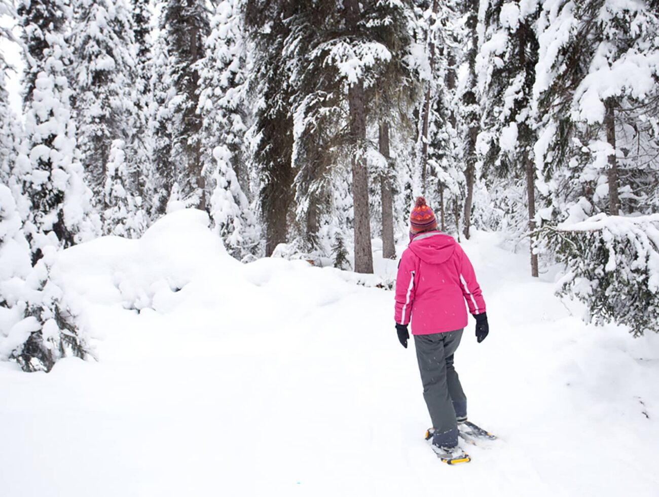 A person snowshoeing along a quiet forest trail surrounded by snow-laden trees in Banff National Park.