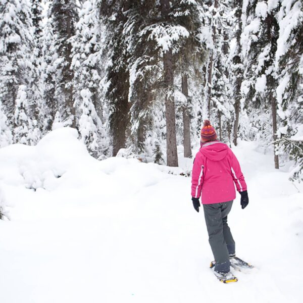 A person snowshoeing along a quiet forest trail surrounded by snow-laden trees in Banff National Park.