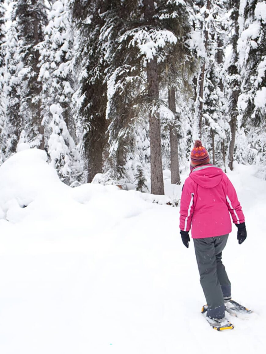 A person snowshoeing along a quiet forest trail surrounded by snow-laden trees in Banff National Park.