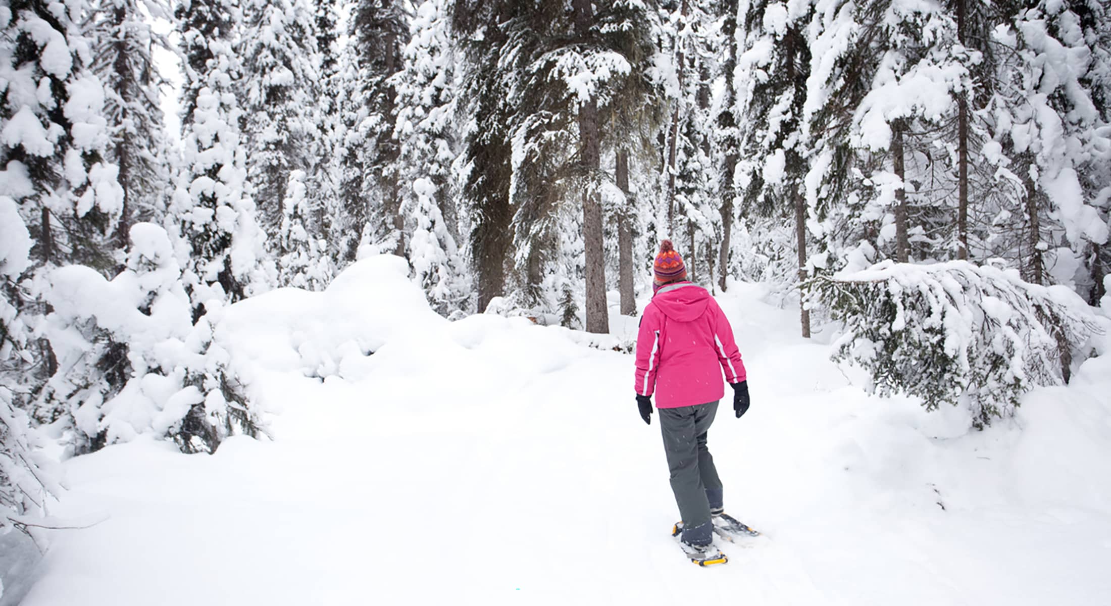 A person snowshoeing along a quiet forest trail surrounded by snow-laden trees in Banff National Park.
