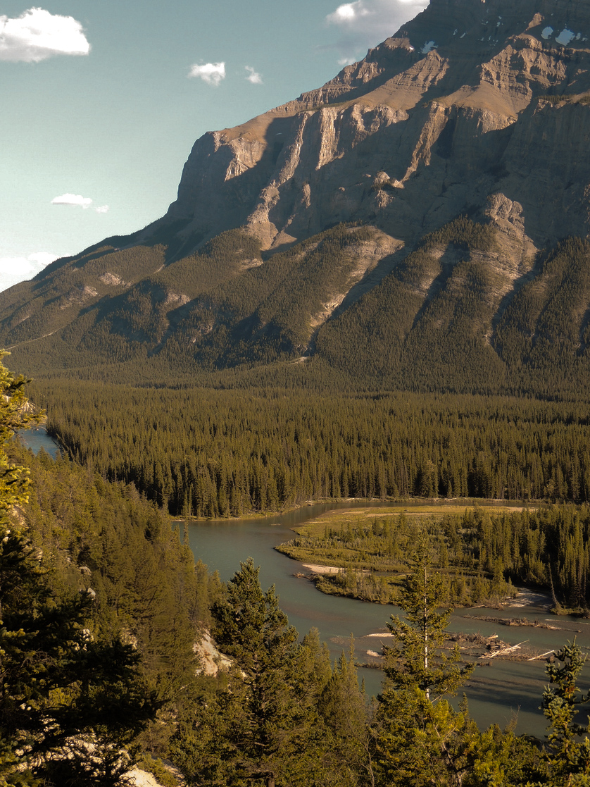 Earth pyramids or Hoodoos in the Bow Valley, by Tunnel Mountain and Mount Rundle, Banff National Park, Alberta, Canadian Rocky Mountains, Canada