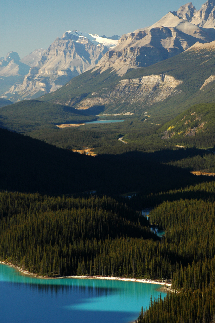 The bright colours of Lake Louise in Banff National Park surrounded by forests and mountains