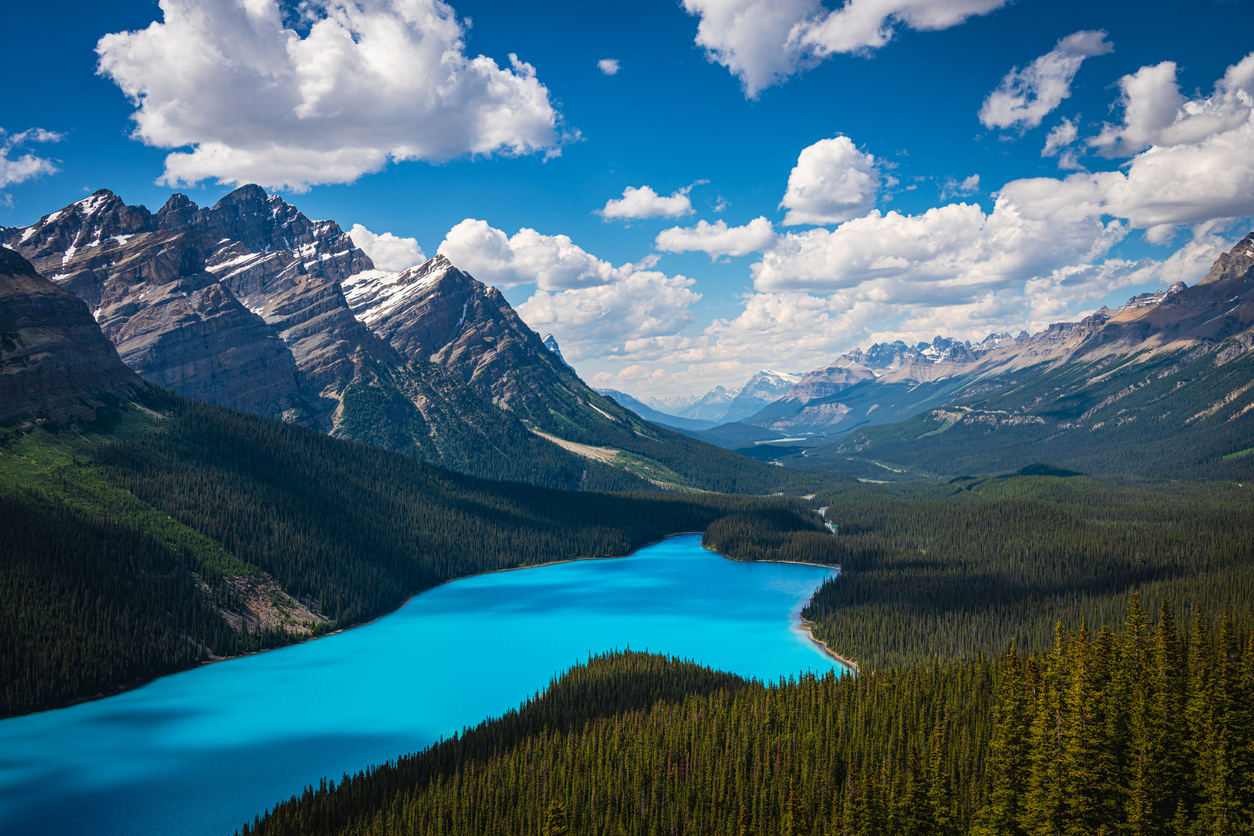 Spectacular aerial-style view of Peyto Lake in Banff National Park, Alberta, Canada. The bright turquoise glacial water winds through dense evergreen forests beneath dramatic Rocky Mountain peaks and a vivid blue sky with scattered clouds. A famous viewpoint in the Canadian Rockies and a major travel destination for nature, adventure, and landscape photography.