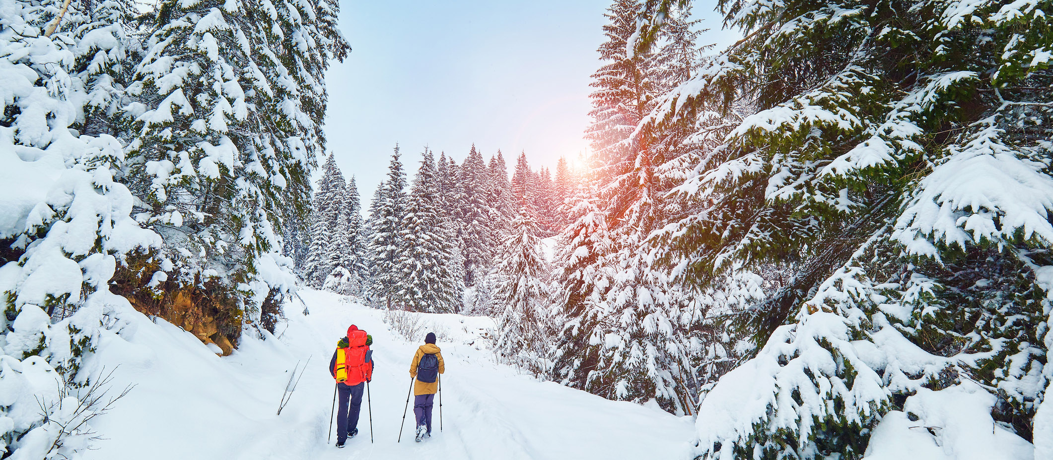 Two people on a guided snowshoe tour in Banff