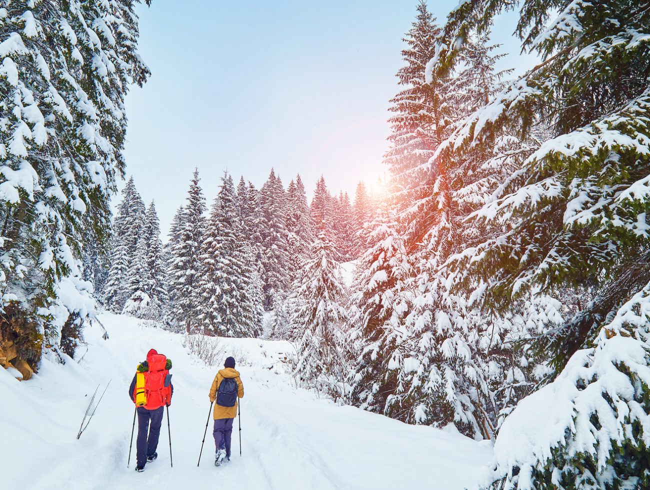 Two people on a guided snowshoe tour in Banff
