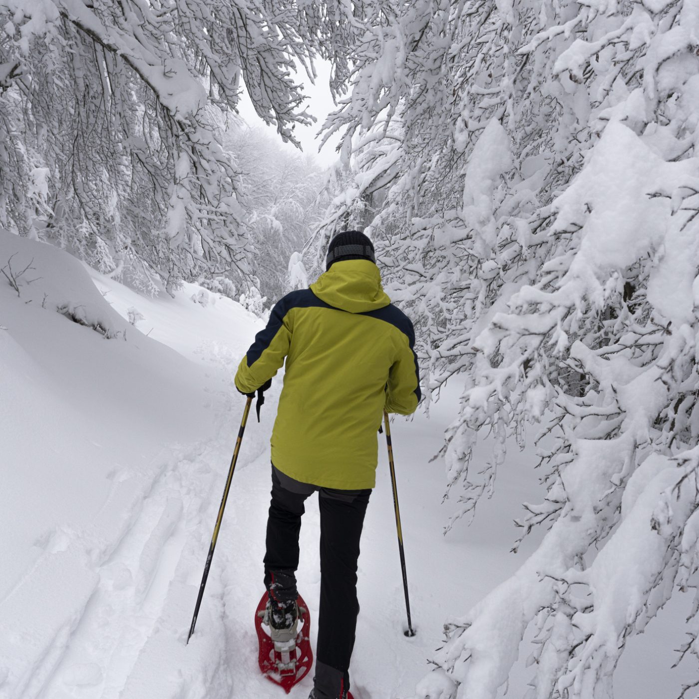 A man snowshoeing while on a guided snowshoe tour in Banff.
