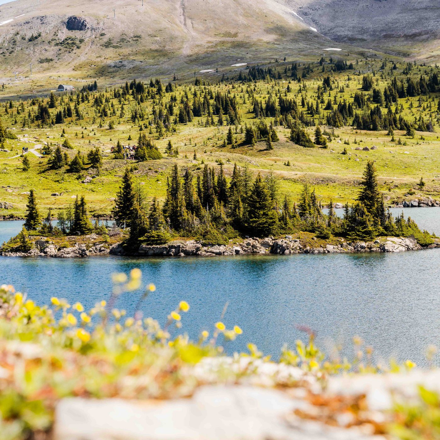 A view of hike trails at Sunshine Meadows in Banff National Park