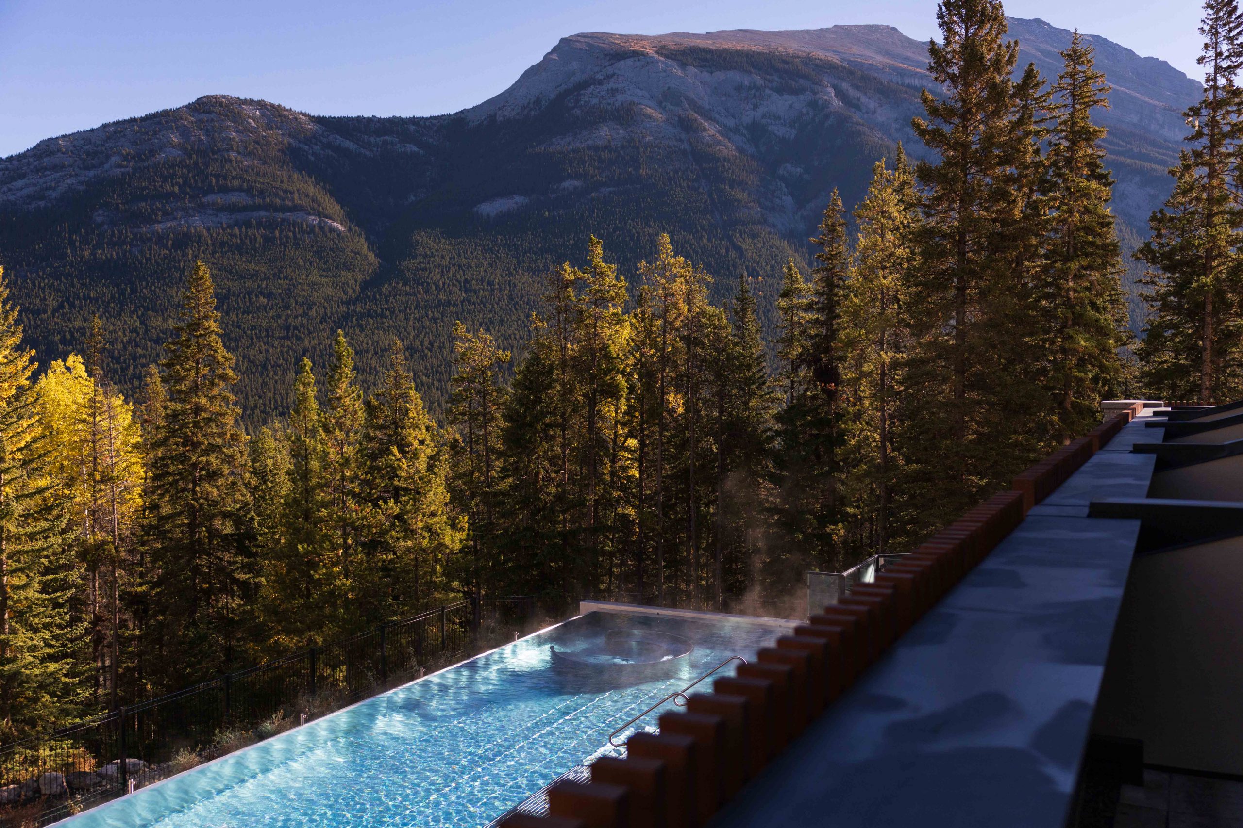 View from a Wellness Suite at Rimrock Banff overlooking the outdoor infinity pool, evergreen forest and Canadian Rockies.